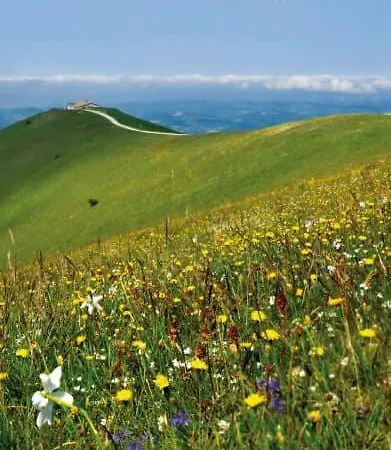 Ferienhaus Il Risveglio Dei Sensi Fossato di Vico