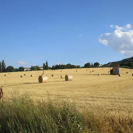 Il Risveglio Dei Sensi Tatil Evi